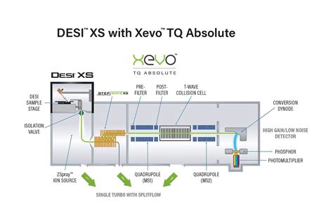 desi xvdeos|DESI XS .